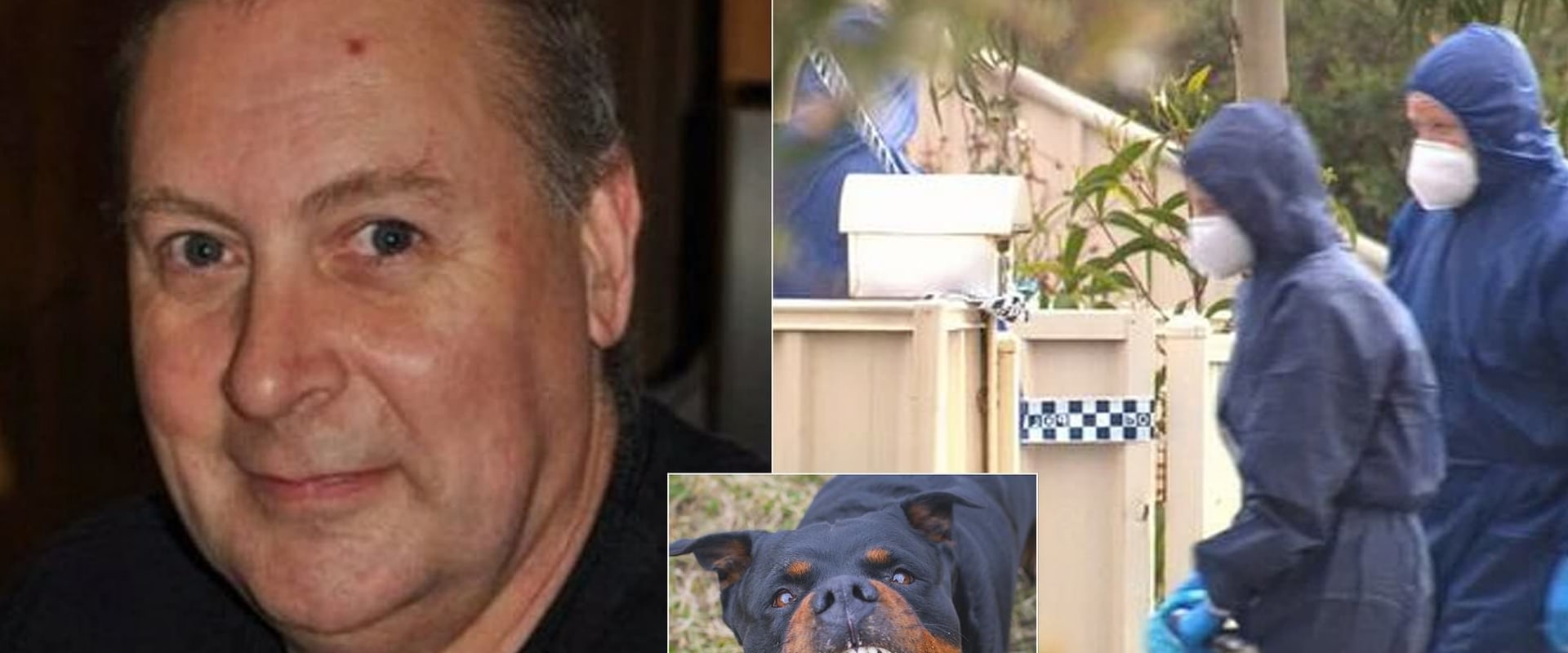 Will rottweiler attack its owner?